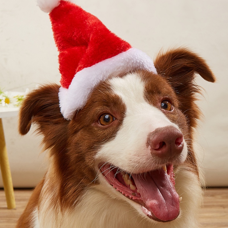 Dog Cats Hat Christmas Decorat - Santa Hat Plush ulasan dan harga